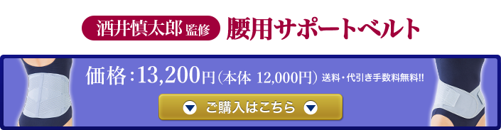 酒井慎太郎監修 腰用サポートベルト ヴァルテックス Vertex 直営販売店 Shop V